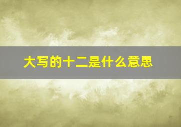 大写的十二是什么意思