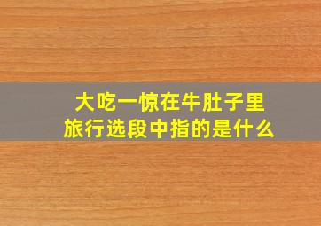 大吃一惊在牛肚子里旅行选段中指的是什么