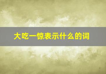 大吃一惊表示什么的词