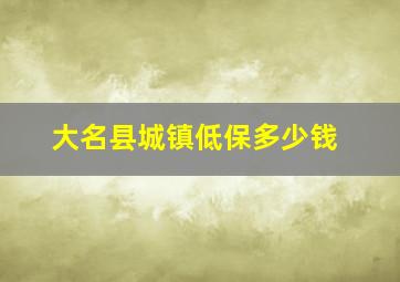 大名县城镇低保多少钱