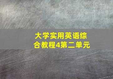 大学实用英语综合教程4第二单元