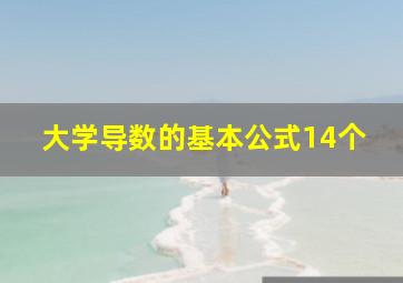 大学导数的基本公式14个