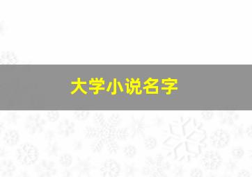 大学小说名字