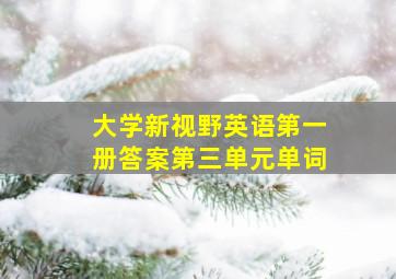 大学新视野英语第一册答案第三单元单词