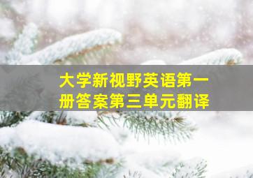 大学新视野英语第一册答案第三单元翻译