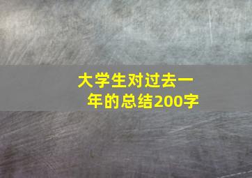 大学生对过去一年的总结200字