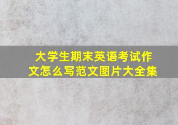 大学生期末英语考试作文怎么写范文图片大全集