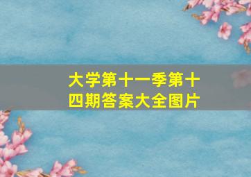 大学第十一季第十四期答案大全图片