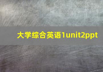 大学综合英语1unit2ppt