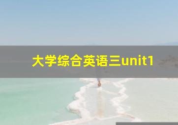 大学综合英语三unit1