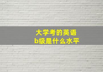 大学考的英语b级是什么水平