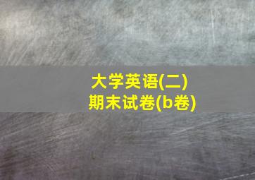 大学英语(二)期末试卷(b卷)