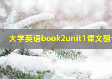 大学英语book2unit1课文翻译