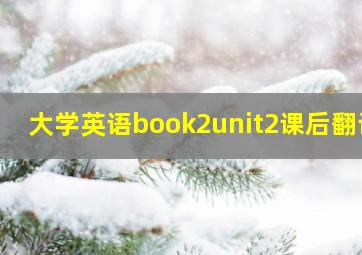 大学英语book2unit2课后翻译