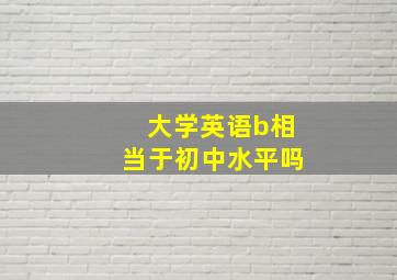 大学英语b相当于初中水平吗