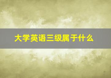 大学英语三级属于什么