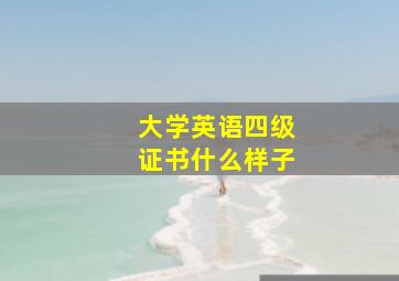 大学英语四级证书什么样子