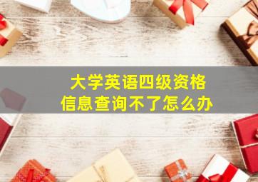 大学英语四级资格信息查询不了怎么办