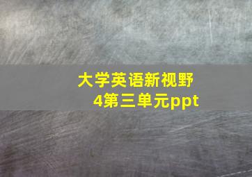 大学英语新视野4第三单元ppt