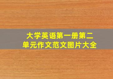 大学英语第一册第二单元作文范文图片大全