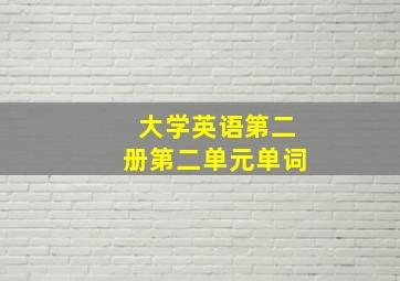 大学英语第二册第二单元单词