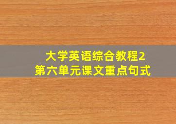 大学英语综合教程2第六单元课文重点句式