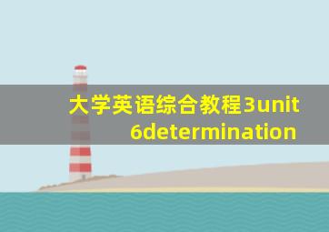 大学英语综合教程3unit6determination