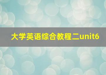 大学英语综合教程二unit6