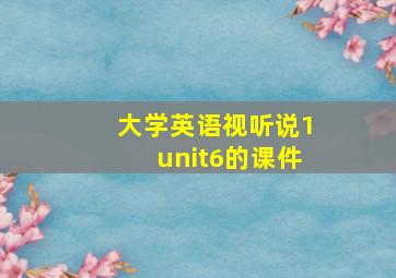 大学英语视听说1unit6的课件