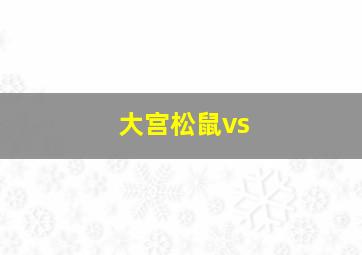 大宫松鼠vs