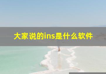 大家说的ins是什么软件