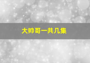 大帅哥一共几集