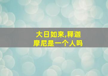 大日如来,释迦摩尼是一个人吗