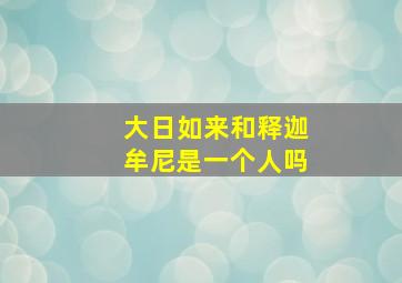 大日如来和释迦牟尼是一个人吗