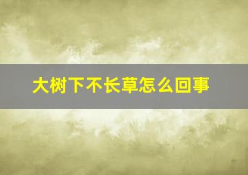 大树下不长草怎么回事