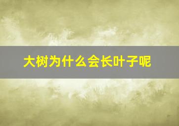 大树为什么会长叶子呢