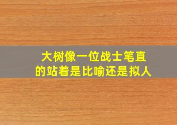 大树像一位战士笔直的站着是比喻还是拟人