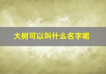 大树可以叫什么名字呢