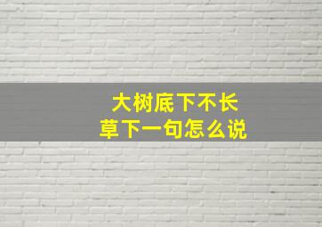 大树底下不长草下一句怎么说