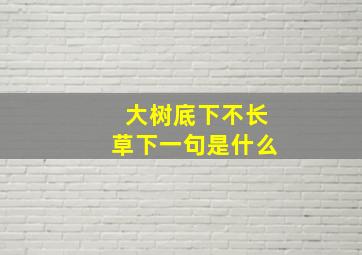 大树底下不长草下一句是什么