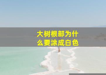 大树根部为什么要涂成白色