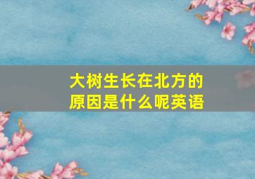 大树生长在北方的原因是什么呢英语