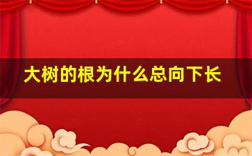 大树的根为什么总向下长