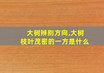 大树辨别方向,大树枝叶茂密的一方是什么