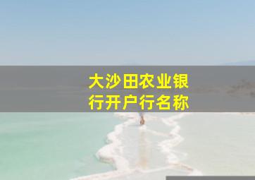 大沙田农业银行开户行名称