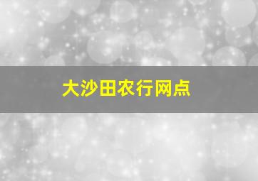 大沙田农行网点