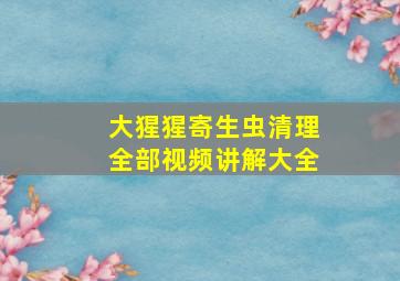 大猩猩寄生虫清理全部视频讲解大全