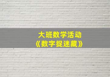 大班数学活动《数字捉迷藏》