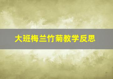 大班梅兰竹菊教学反思