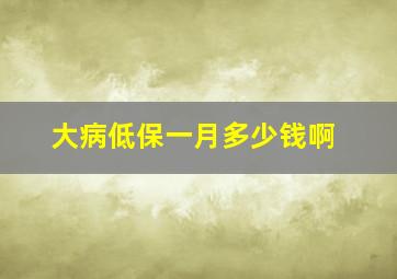 大病低保一月多少钱啊